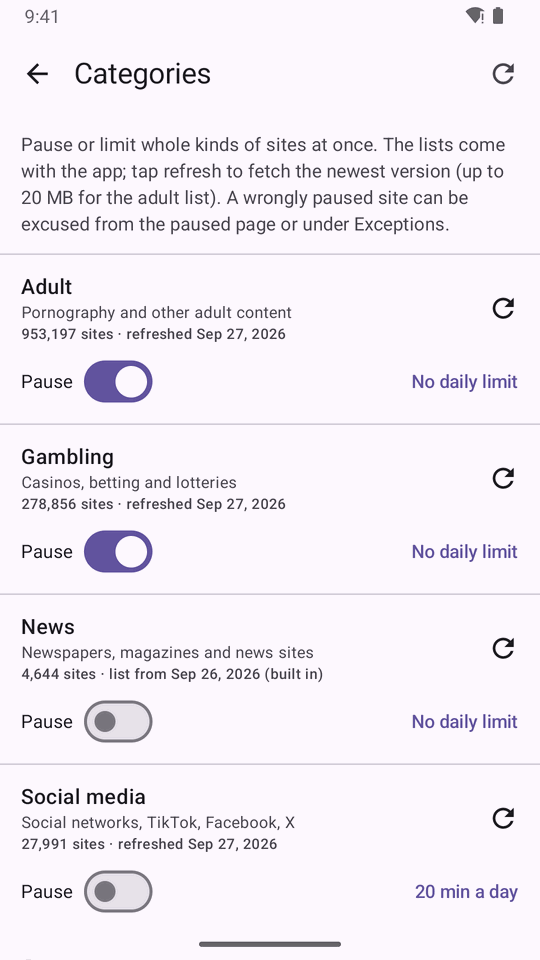 Categories: adult sites, gambling and scams paused, social media limited