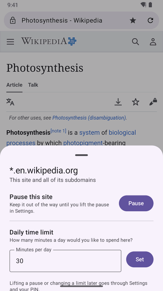 The sheet for pausing or limiting the current site